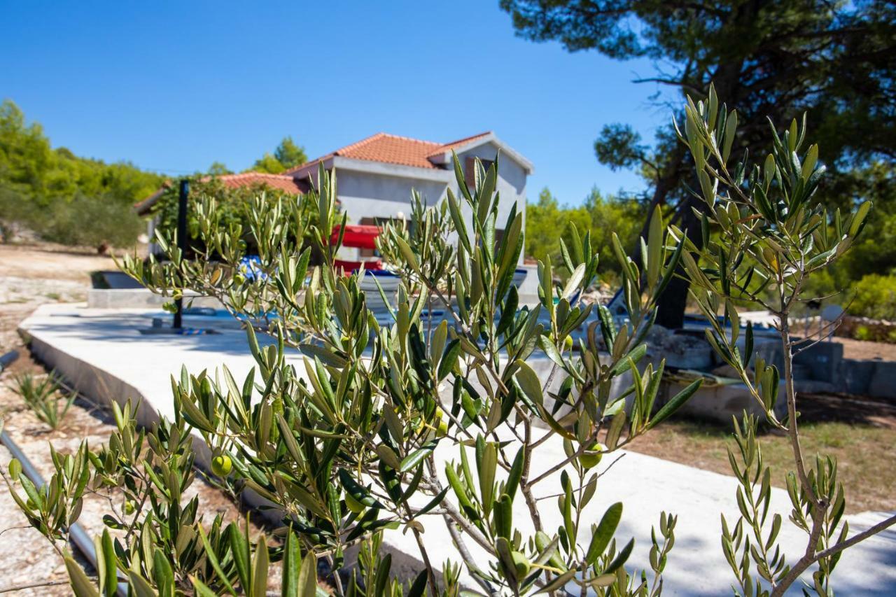 Obiteljska Kuca Za Odmor Futura Villa Milna  Buitenkant foto